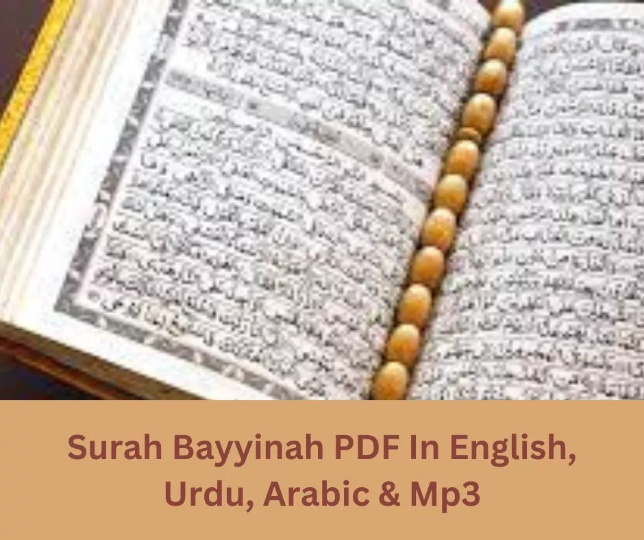 Surah Bayyinah PDF In English, Urdu, Arabic & Mp3