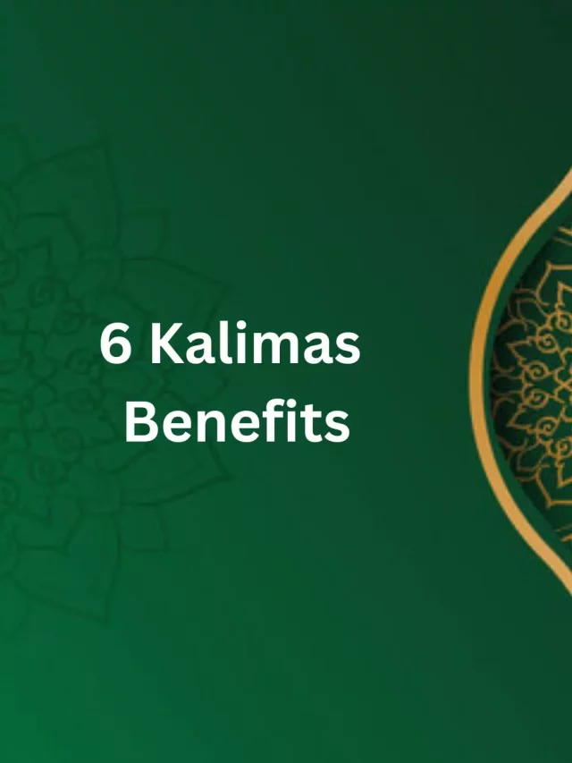 6 Kalimas benefits